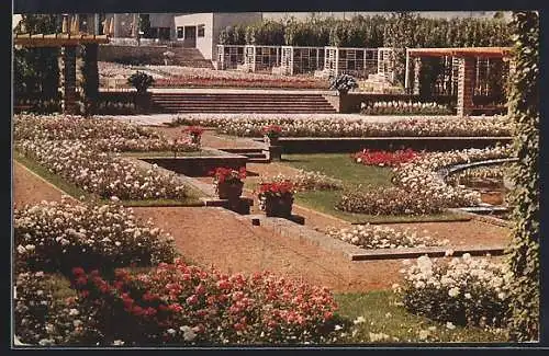 AK Esssen, GRUGA Grosse Ruhrländische Gartenbau-Ausstellung 1929, Pergolagarten mit Rosenanlage und Rosencafé