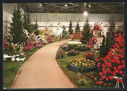 AK Berlin, Grüne Woche 1972, Gartenblumen