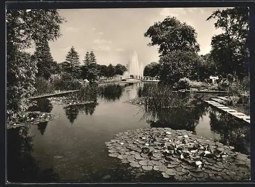 AK Hamburg, Planten un Blomen im Ausstellungspark, Wassergärten