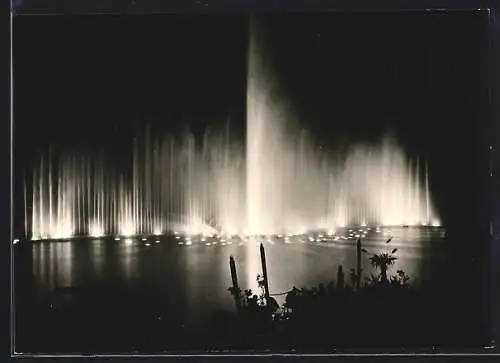 AK Hamburg, Planten un Blomen, Szene aus dem neuen Wasserkonzert