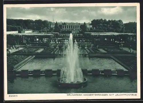 AK Essen, Grugapark, Wasserterrassen mit Leuchtfontaine