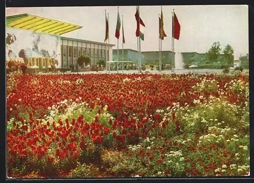 AK Erfurt, Internationale Gartenbau-Ausstellung der DDR, Blumenwiese mit Hallen