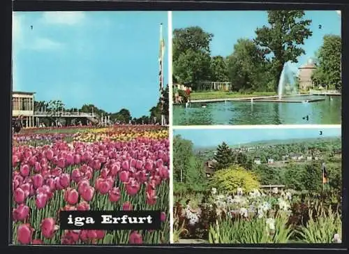 AK Erfurt, Internationale Gartenbau-Ausstellung, Tulpenschau, Wasserspiele, Blick vom Irisgarten