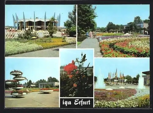 AK Erfurt, Internationale Gartenbauausstellung, Ansichten vom Gelände