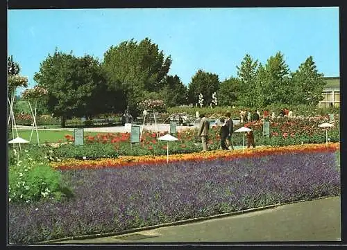 AK Erfurt, Iga, Ausstellungsgelände, Blumenbeete