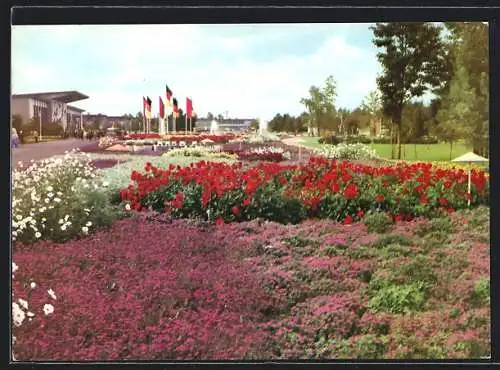 AK Erfurt, iga, Internationale Gartenbau-Ausstellung der DDR, Farbsinfonie