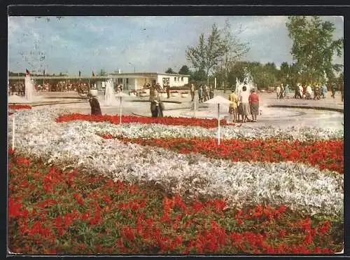 AK Erfurt, Internationale Gartenbau-Ausstellung der DDR 1966, Festplatz mit Haupteingang