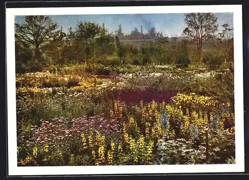 AK Dortmund, Bundesgartenschau 1959, Staudengarten vor der Kulisse der Dortmunder-Hörder-Hütten-Union