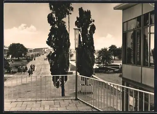 AK Erfurt, 1. Internationale Gartenbauausstellung der sozialistischen Staaten, Ausstellungshalle