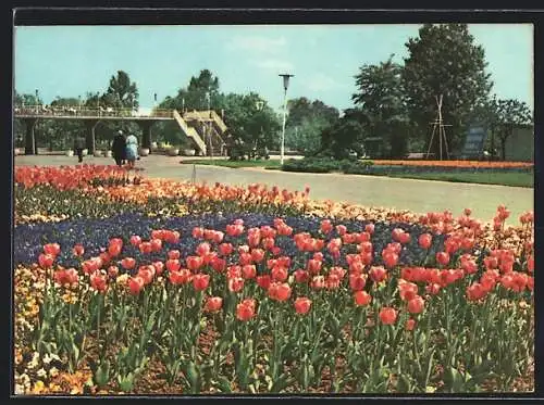 AK Erfurt, Deutsche Demokratische Republik, Internationale Gartenbauausstellung, Blick zur Rendezvousbrücke