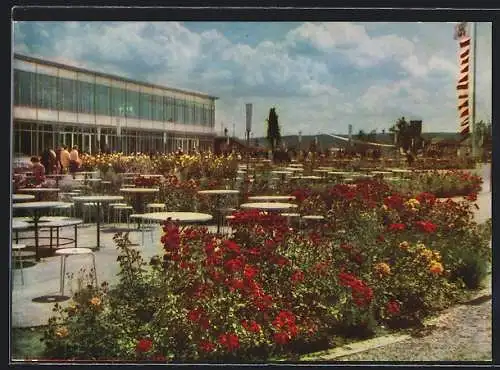 AK Erfurt, Gelände der internationalen Gartenbau-Ausstellung