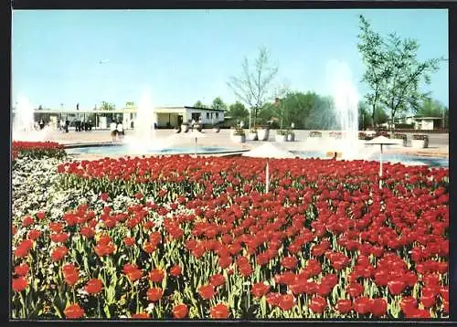 AK Erfurt, Iga Internationale Gartenbauausstellung der DDR, Grosses Blumenbeet am Festplatz und Blick zum Haupteingang