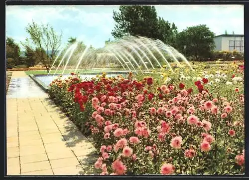 AK Erfurt, Iga Internationale Gartenbauausstellung der DDR, Dahliensondergarten