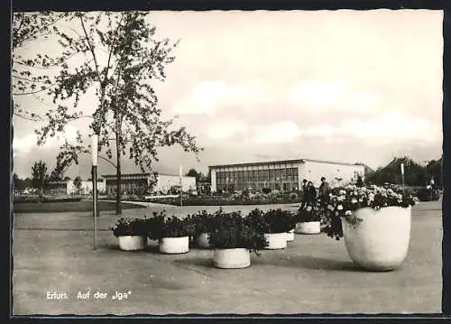 AK Erfurt, Auf der Iga, Ausstellungsgelände