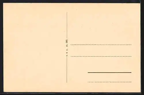 AK Appenweier i. B., Gasthof zum schwarzen Adler, Ortsansicht