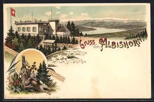 Lithographie Albishorn, Gasthaus, Hasen