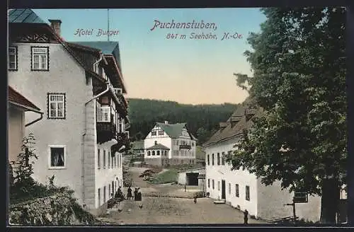 AK Puchenstuben /N.-Oe., Hotel Burger, Strassenpartie