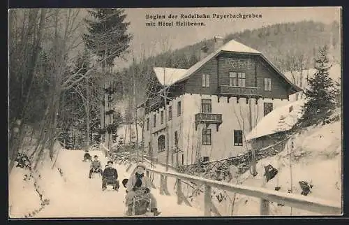 AK Payerbach, Beginn der Rodelbahn Payerbachgraben mit Hotel Hellbronn und rodelnden Kindern