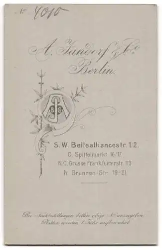 Fotografie A. Jandorf & Co., Berlin, S.W. Bellealliancestr. 1 /2, elegante Dame im opulenten Kleid