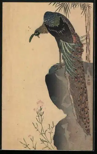 Künstler-AK Pfau auf Stein, Japanische Kunst