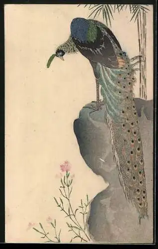 Künstler-AK Pfau auf Stein, Japanische Kunst