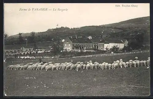 AK Varange, La Bergerie avec troupeau de moutons devant la ferme