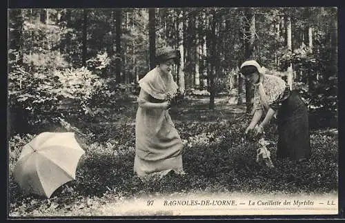 AK Bagnoles-de-l`Orne, La Cueillette des Myrtilles