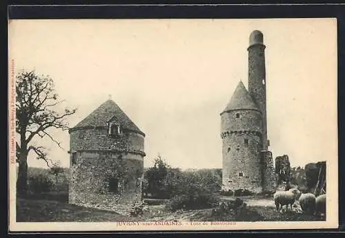 AK Juvigny-sous-Andaines, Tour de Bonvouloir et moutons au premier plan