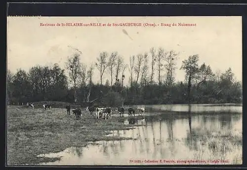 AK St-Hilaire-sur-Rille, Étang du Nuisement et pâturage avec vaches