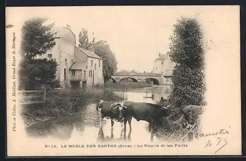 AK Le Mesle-sur-Sarthe, Le Moulin et les Ponts