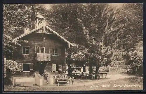 AK Arber / Bayr. Wald, an der Rachel-Diensthütte