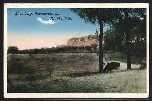 AK Rheinberg, Rheinwiese mit Krankenhaus