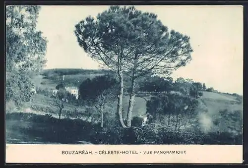 AK Bouzaréah, Céleste-Hotel, Vue Panoramique