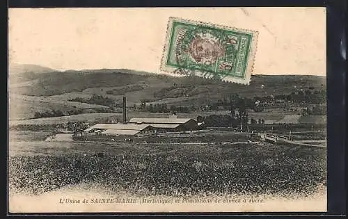 AK Sainte-Marie, L`Usine et Plantations de cannes à sucre