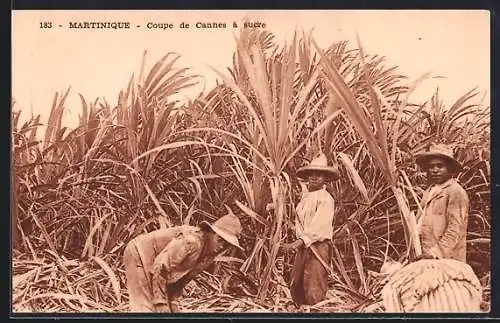 AK Martinique, Coupe de Cannes à sucre