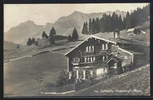 AK Schindelnberg-Lütispitz, Panorama v. Moos