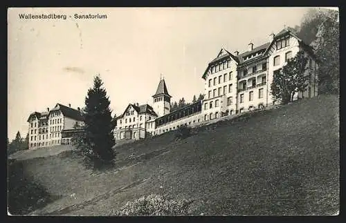 AK Wallenstadtberg, Feldpartie mit Blick zum Sanatorium