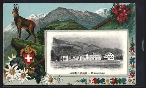 AK Wallenstadt, Kasernen, lithographiertes Passepartout mit Gemse