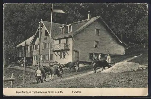 AK Flums, Hotel Alpenkurhaus Tschudiwiese