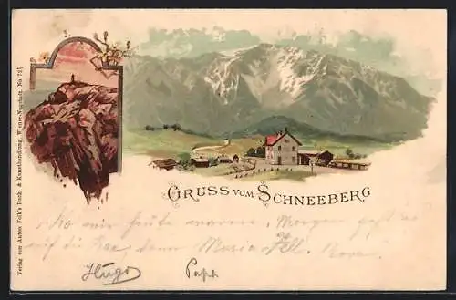 Lithographie Puchberg / Schneeberg, Panorama Berghütte und Berglandschaft