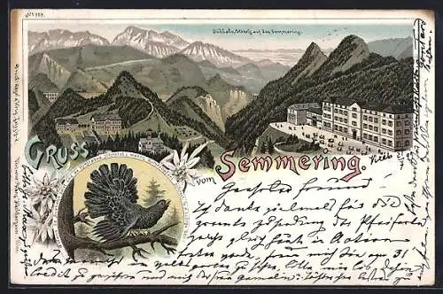 Lithographie Semmering, Südbahn-Hôtels, Vogel auf einem Ast