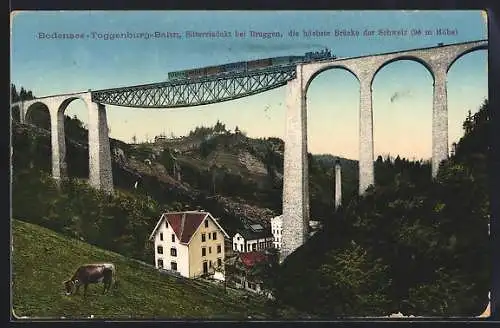 AK Bruggen, Bodensee-Toggenburg-Bahn auf dem Sitterviadukt mit Kuh