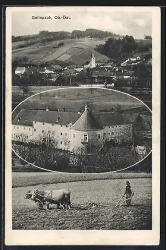 AK Gallspach, Ortsansicht und Schlossmotiv, Bauer mit Rinderpflug