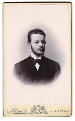 Fotografie J. Schneider, Pilsen, Stephanspromenade 25, Porträt Heinrich Winter im Anzug