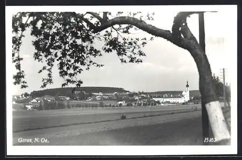 AK Geras /N.-Oe., Ortspartie mit Stift und Baum