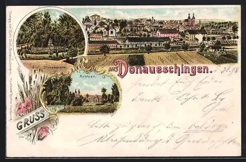 Lithographie Donaueschingen, Schloss, Donauquelle und Ortsausblick