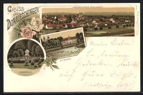 Lithographie Donaueschingen, Gesamtansicht, F. F. Schloss, Donauquelle