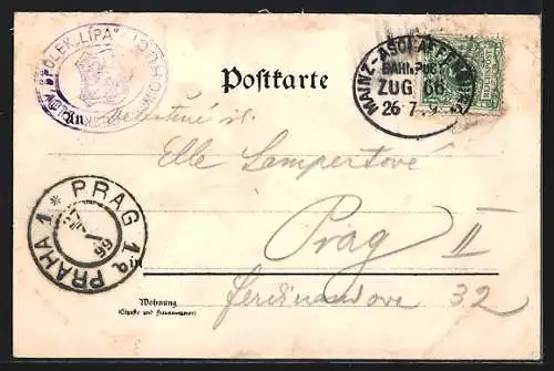Lithographie Caub, Totale des Ortes, Denkmal, Hotel zum Turm, Dampfer