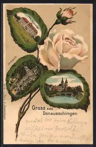 Passepartout-Lithographie Donaueschingen, Schloss, Donauquelle, Rosenblüte