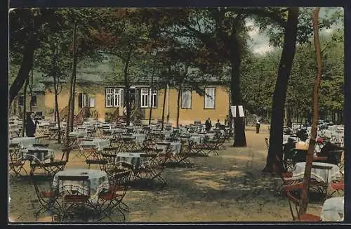 AK Mannheim, Waldpark-Restaurant Am Stern